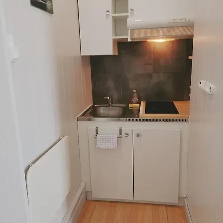 Loc's - Le 216, Classe 3 Etoiles Proche Des Thermes Et Tous Commerces 公寓 维泰勒