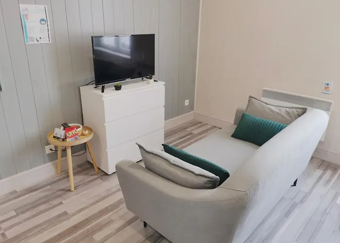 Loc's - Le 216, Classe 3 Etoiles Proche Des Thermes Et Tous Commerces * Vittel